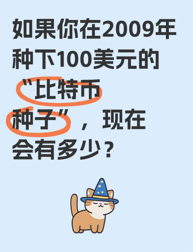 如果你在2009年种下100美元的“比特市种子会有多少?现在会有多少？-币圈知识社区