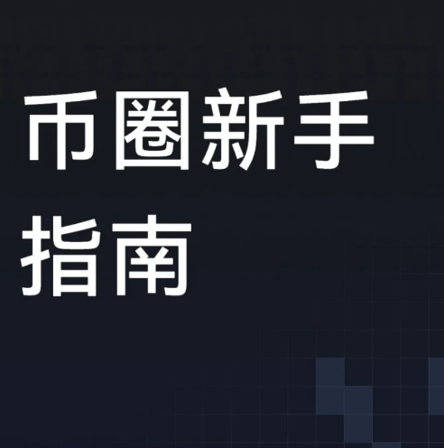 币圈小白必看的生存指南-币圈知识社区