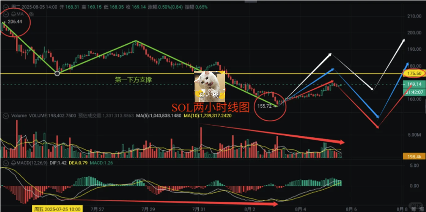 SOL巨鲸狂抛29万枚!你还在等反弹?-币圈知识社区